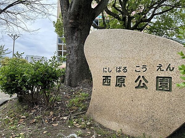 西原公園　徒歩約4分　約285m