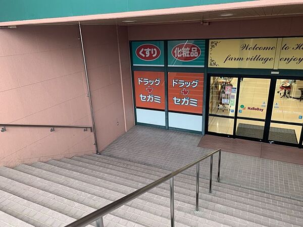 ◆ドラッグセガミ菊南店　約770ｍ　徒歩約10分　営業時間　09:00～21:00