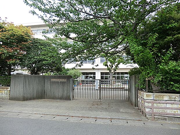 鎌倉市立七里ガ浜小学校(900m)