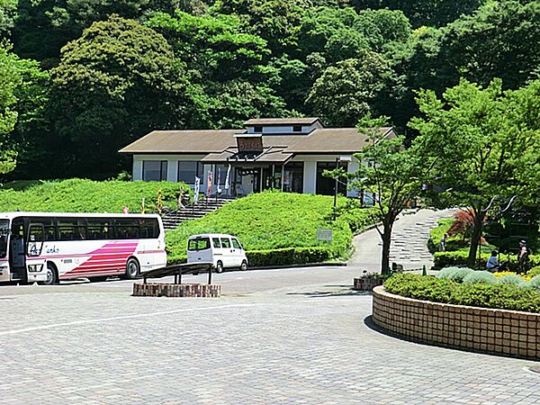 さまざまなハーブや花々が楽しめるスポットです。四季折々の植物が美しく、散策や写真撮影に最適です。また、ハーブを使った商品の販売や体験イベントも開催され、訪れる人々に癒しの空間を提供しています。