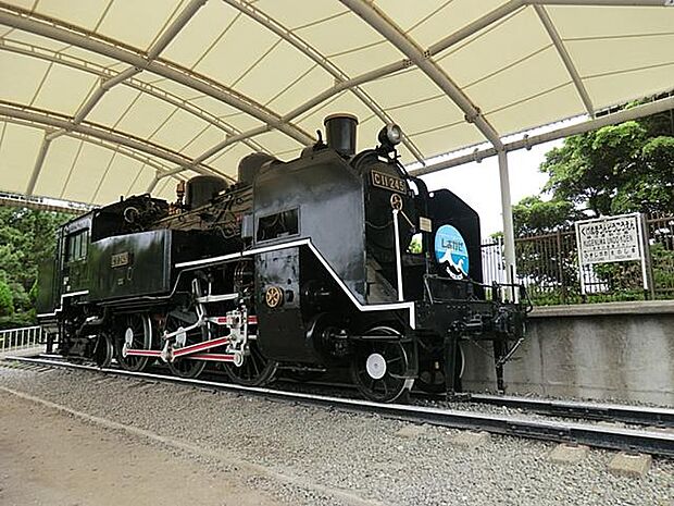 プール、野球場、テニスコート、トレーニングルーム、サウナなどのスポーツ施設が充実しています。