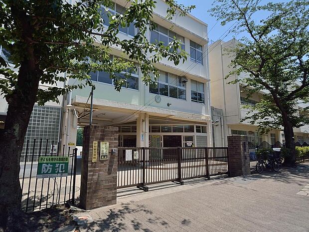 横浜市立南台小学校(750m)