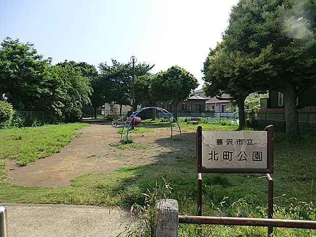 園内には大きな桜の木や豊かな緑があり、ブランコやすべり台、コンクリート製のトンネル型遊具など、多彩な遊具が設置されています。