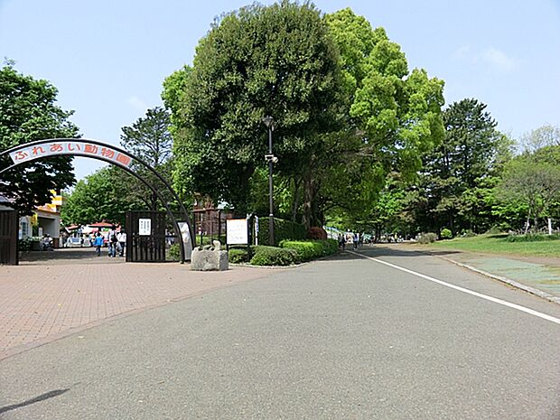平塚市のほぼ中央にある約30haの都市公園。本格的なスポーツ施設、ふれあい動物園、遊具のある広場、日本庭園などがあり、市民のオアシス・レクリエーションの場として親しまれています。