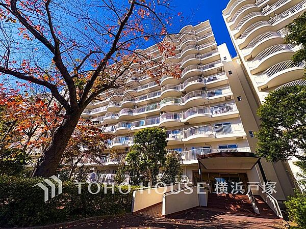 外観：314002563555