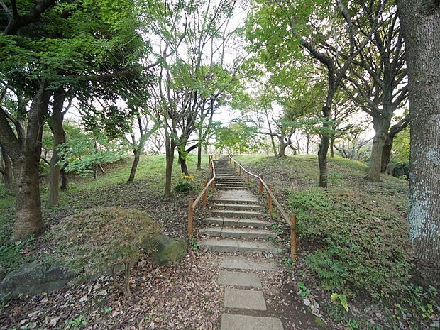 ウォーキングやジョギング、ご家族でのピクニックにもお勧めの自然豊かな公園。敷地面積は、なんと東京ドーム約6個分!