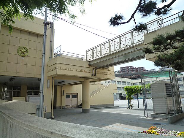 横浜市立星川小学校(500m)