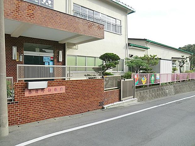 広い園庭と緑あふれる自然環境の中、のびのびと遊べる時間を大切にしています。幼稚園隣接地にこども農園を設け、草花の観察や野菜を栽培したり、動物を飼育し自然に親しむ機会を多く作っています。