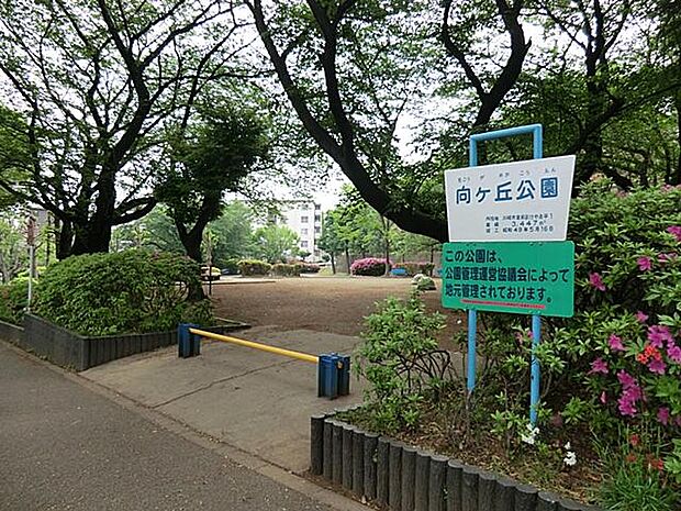 遊具のある広場の一段下がったところには広いグランドもあり、ボール遊びも出来ます。休日には、親子でサッカーの練習をしている姿も見られます。木陰もあるので暑い季節でも安心です。