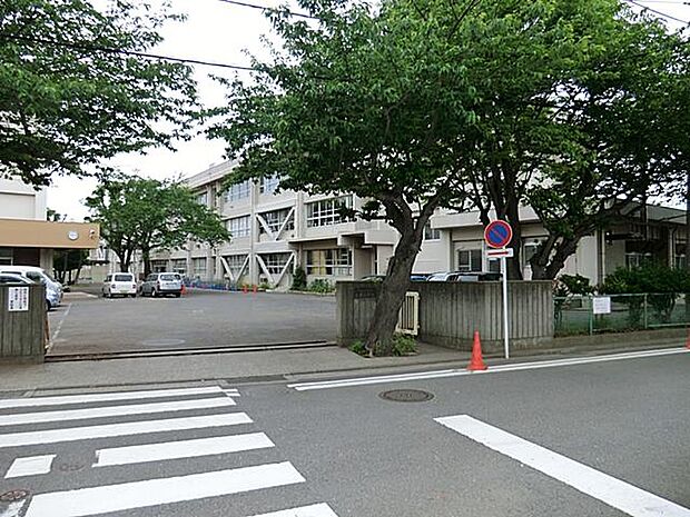 横須賀市立長井小学校（1000ｍ）