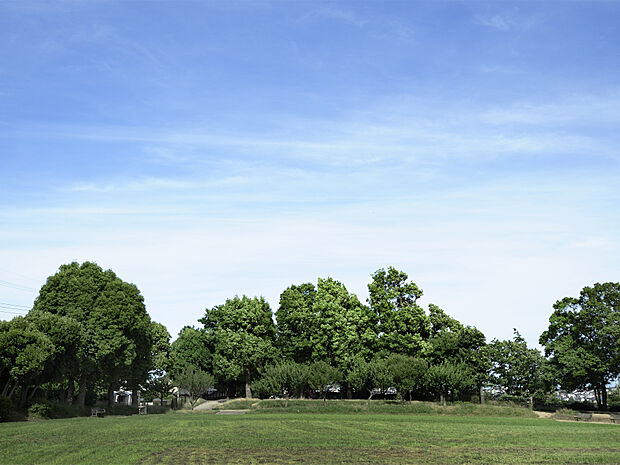 緑の多い園内は、公園というよりも小さな雑木林を思わせる雰囲気あり、散策コースとしても適しており、滑り台やブランコをはじめ、色々な遊具が設けられています。