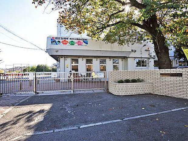 横浜市立梅林小学校（750ｍ）