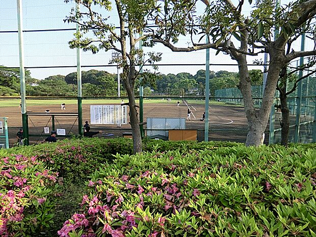 ツツジの名所として知られる武山の麓に位置する、広大なスポーツ公園。児童広場にはカラフルな遊具があり、森林浴や散策も楽しめる自然豊かなエリアも兼ね備えています。