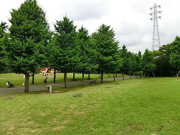 広い芝生広場や遊具、ベンチが整い子どもから大人まで憩える場です。秋はイチョウ並木が美しく、白旗神社や市民病院、ショッピングモールが近く駅から徒歩約5分と便利です。
