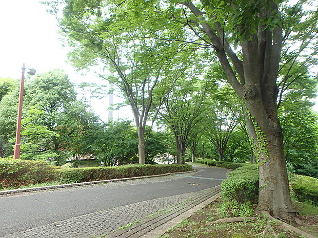 今川公園(450m)丘陵地形を活かしてつくられた公園。スポーツ施設と遊具と自然とが融合した公園で心も体もリフレッシュ!