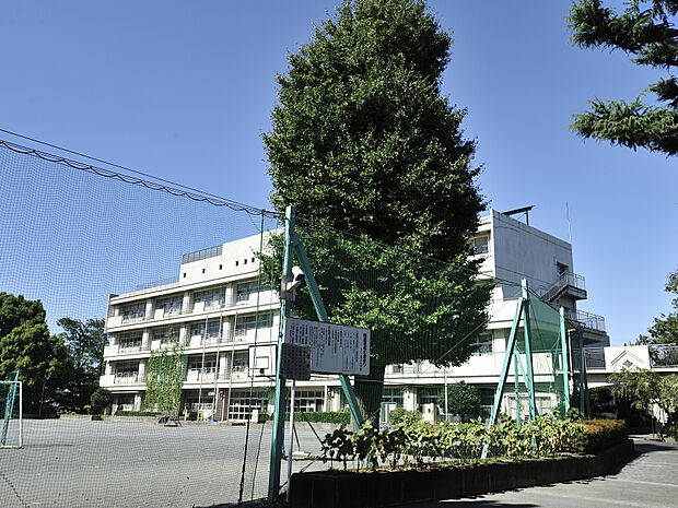 横浜市立石川小学校(500m)