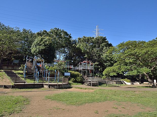 岸根公園駅からすぐの立地なので、区民だけでなく広いエリアの市民の方が訪れる公園です。野球場、武道館、広場、篠原池などがあり水と緑が調和する癒しの空間です。