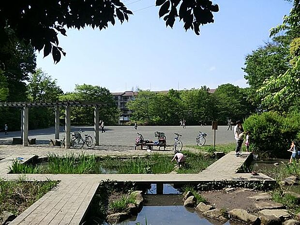 坪呑公園(1000m)かつて雑木林だったエリアを上手に生かした形で人工的に整備し、自然豊かな公園として生まれました。遊歩道が敷かれており、緑の中で散策も楽しめます。