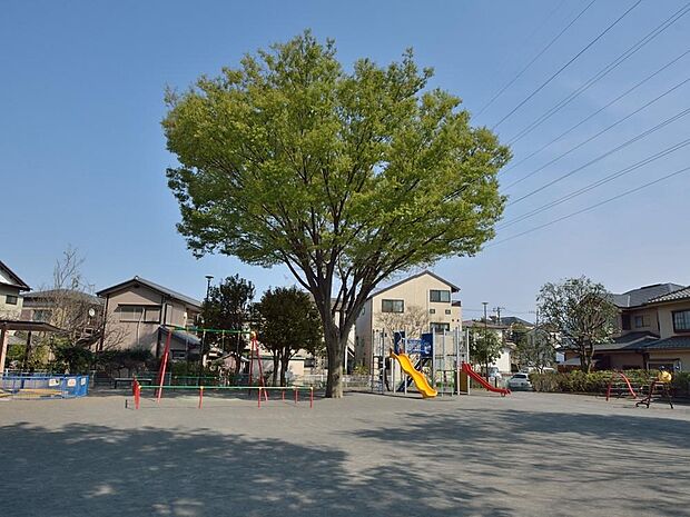 シンボルツリーのある公園。複合滑り台やユニークな形の遊具があります。お子様お気に入りの遊び場になりそうですね。