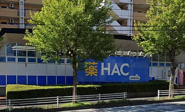 前田町の健やかな暮らしをトータルに支える、信頼のウェルネスハブ。広々とした店内に最新のケアアイテムが充実し、自分らしい美と健康をスタイリッシュに守りたい人のための聖地です。