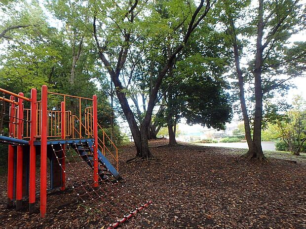 小さな森の中に秘密基地のように遊具があります。お子様が喜びそう。秋には落ち葉の絨毯で木の実拾いなどを楽しめます。