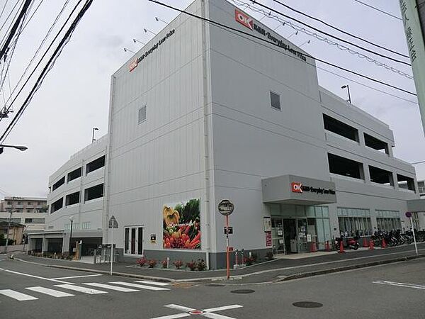 関東圏を中心に低価格でコスパの良い商品を取り扱うと話題のディスカウントスーパー。週末にまとめ買いもいいですね。