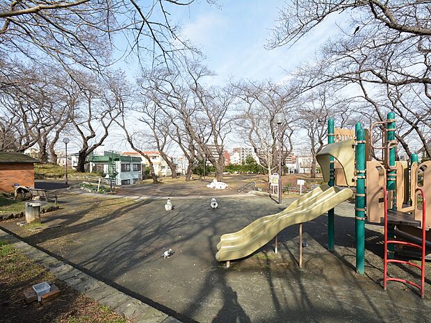 丘の上の広場や桜並木が特徴で、遊具やベンチ、水飲み場が整い、のんびり景色を眺めたり体を動かしたりできる憩いの場です。高台から電車の往来や街並みを楽しむスポットとしても人気があります。