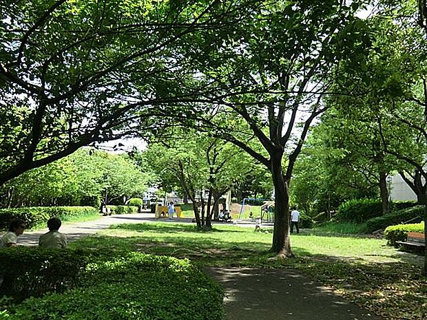 野球やサッカーができる広いグラウンド、豊かな緑の中で子ども用遊具で遊べる広場もあります。遊水池を利用した公園です。