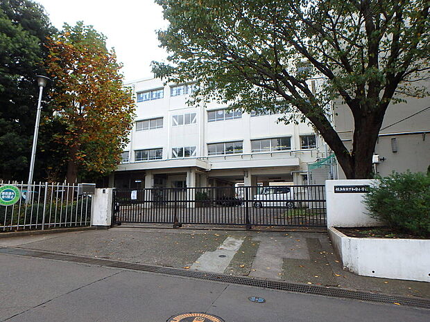 横浜市立下和泉小学校(772m)