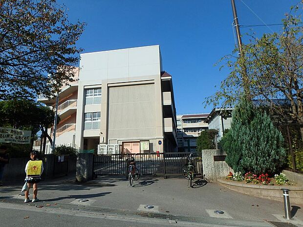 横浜市立森の台小学校(650m)
