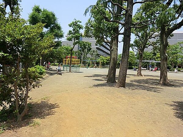広々としているので幼児用自転車を乗りに来るお子さんも多い公園。滑り台、ブランコ、ジャングルジムなどの遊具も揃っているので楽しく遊べます。