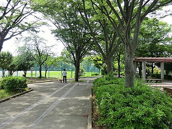 六浦大道公園(750m)サッカーや野球のできるグラウンドがあります。翠溢れる街のオアシスとして、近隣の方に愛されています。