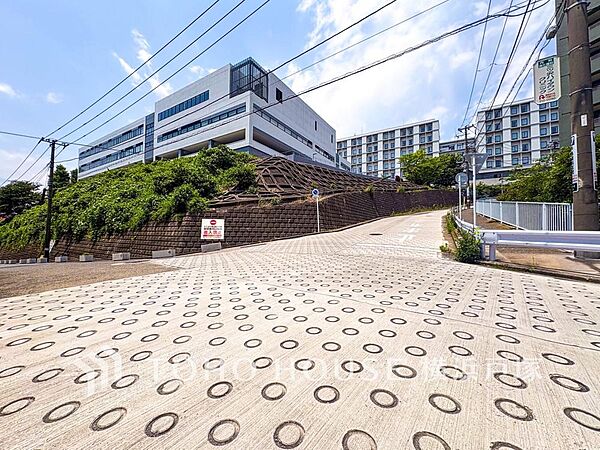 「Frontal road」家の良し悪しだけでなく周辺環境も重要なポイント。それは月日が経つ事で「近くにあるもの」から「家の財産」へとイメージが変わってくる事を身体が理解しているからだと思います。