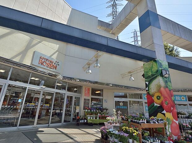 毎日の食卓を飾る新鮮な食料品が揃います。2024年3月から新たに相鉄ポイント誕生で、相鉄電車のマイルポイントも変換可能なシステムに。お得なポイ活が愉しめます。