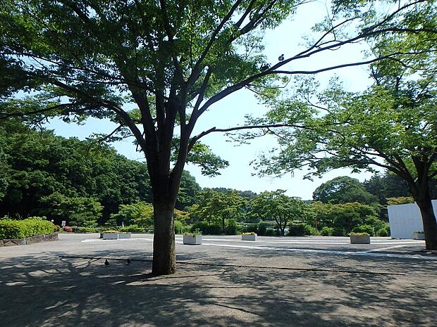 地元では大池公園と呼ばれる大きな池がある公園。ロングスライダーのあるアスレチックエリアやねずみやモルモットとふれあえる『ちびっこ動物園』など、ファミリーで賑わいます。