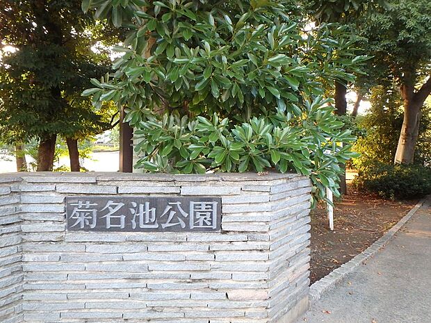 菊名池公園(550m)地域の住民の憩いの場。池、広場、プールなどがあり、夏の暑い日にはプールから元気な声が聞こえてきます。