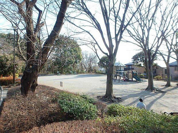 春は桜、夏はプールと区民の憩いの場所として親しまれています。