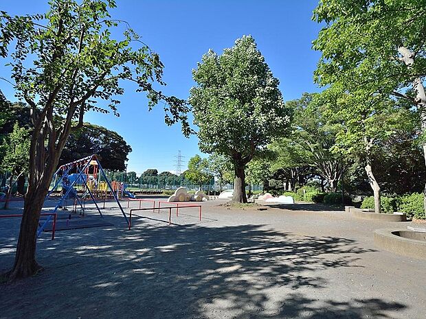 岸根公園駅からすぐの立地なので、区民だけでなく広いエリアの市民の方が訪れる公園です。野球場、武道館、広場、篠原池などがあり水と緑が調和する癒しの空間です。