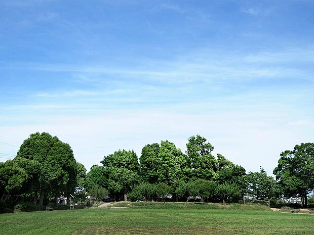 洋光台北公園まで約700m。遊具や広場を備えた開放感のある公園。木々の緑に囲まれた心地よい環境で、子どもの遊び場や散歩、気分転換にも親しまれています。