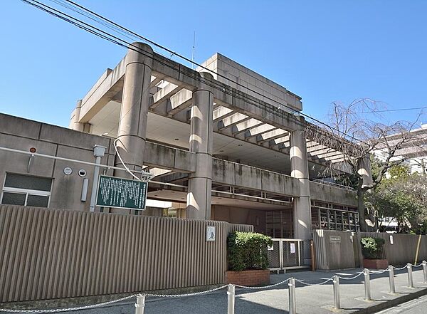 横浜市立日枝小学校まで約517m