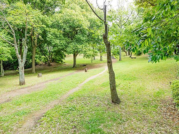 海の景色も山の景色も楽しめる公園です。アーチェリー射撃場、テニスコート、運動広場、見晴台、牡丹園があり、春には満開の桜が楽しめます。