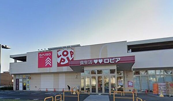 石川エリアにある地域密着型のドラッグストア。医薬品や日用品、食品、お酒まで安価に揃い、生活必需品がワンストップで調達できて便利です。