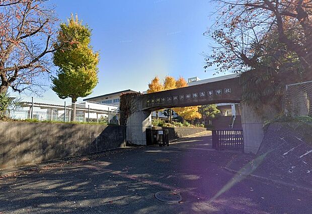 神奈川県立の単位制・総合学科高校。自分のペースや将来の目標に合わせて時間割を組めるフレックススクールです。自主性を重んじるのびのびとした教育環境のもとで、一人ひとりの個性を活かした学びが期待できます。