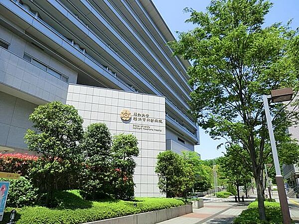 昭和大学横浜市北部病院まで約760m