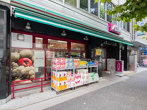 安くて便利な小さなイオン。ちょっと買い物したいときにすぐ行ける小型スーパー。小さいながらも品揃えのよいスーパです。