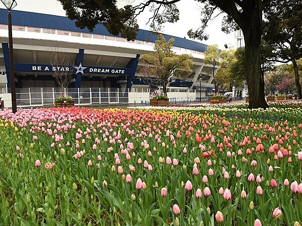 「関内」駅前にある横浜DeNAベイスターズの本拠地。通称「ハマスタ」。