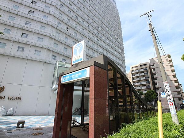 横浜駅までの所要時間は約7分。出口を出ると大通公園です。公園内は緑に囲まれ静かで過ごしやすいです。