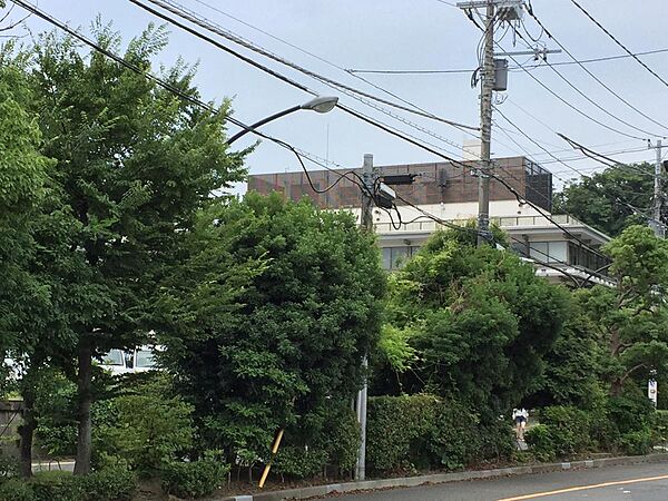 市民サービスや行政手続きを行うための各種窓口が設置されている。