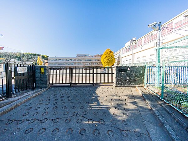 横浜市立城郷小学校(700m)