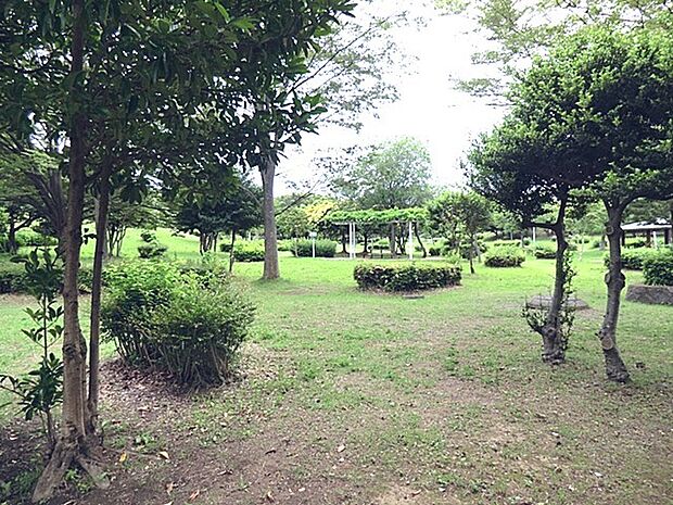 ベンチや緑地が整い散策や休憩スポットとして利用されています。遊具は少なめですが、のんびり過ごせる静かな空間で、周辺は住宅街や市民プールなどのレクリエーション施設に囲まれています